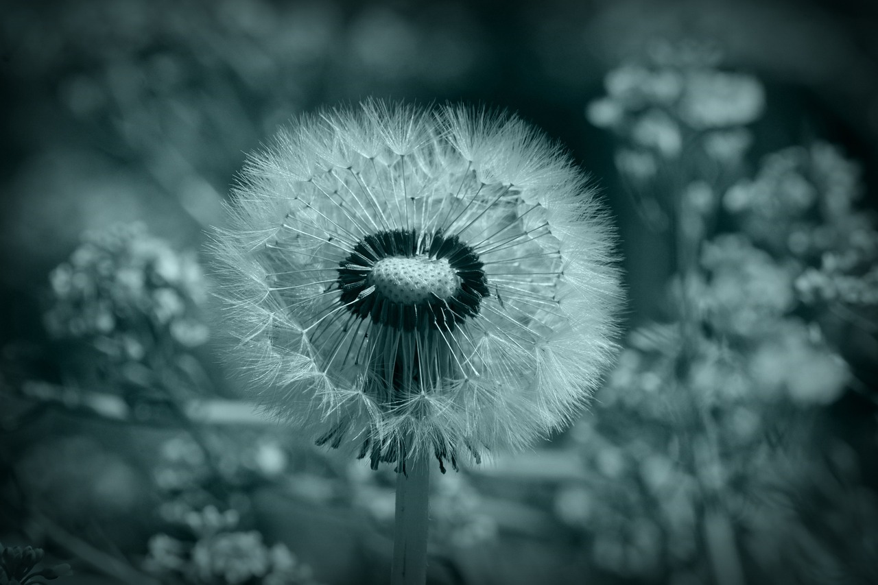 Understanding the Conscious and Unconscious Mind